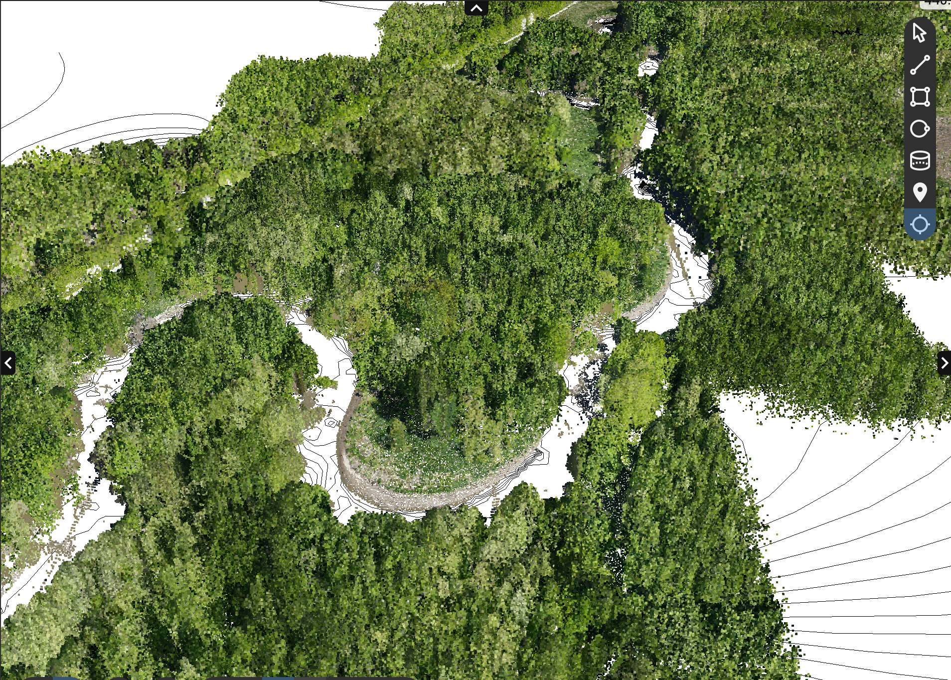 High-density point cloud detail of dense vegetated corridor canopy