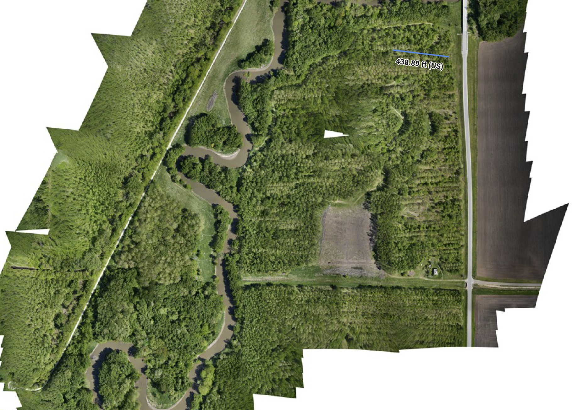 Drone orthomosaic of a wooded river floodplain with a levee, cleared field, and county road