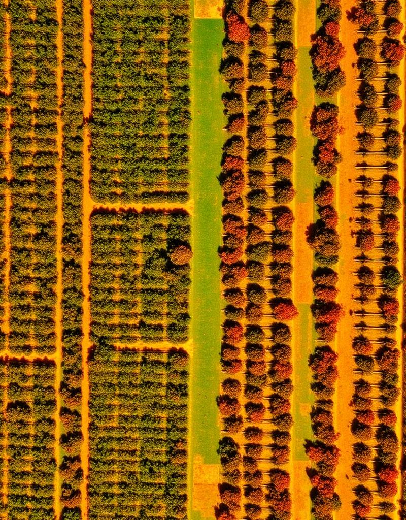 Multispectral deliverable sample